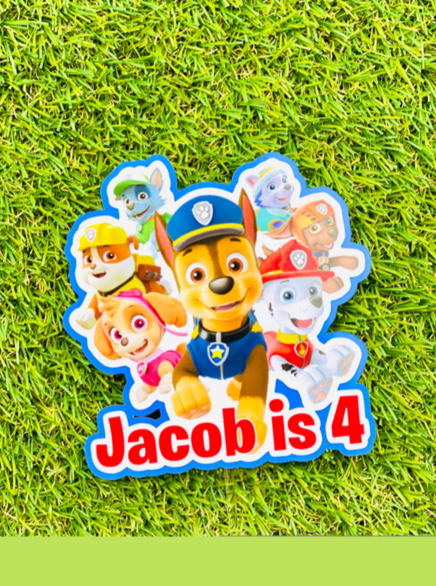 Paw Patrol -Skye  Paw patrol birthday, Paw patrol cake toppers