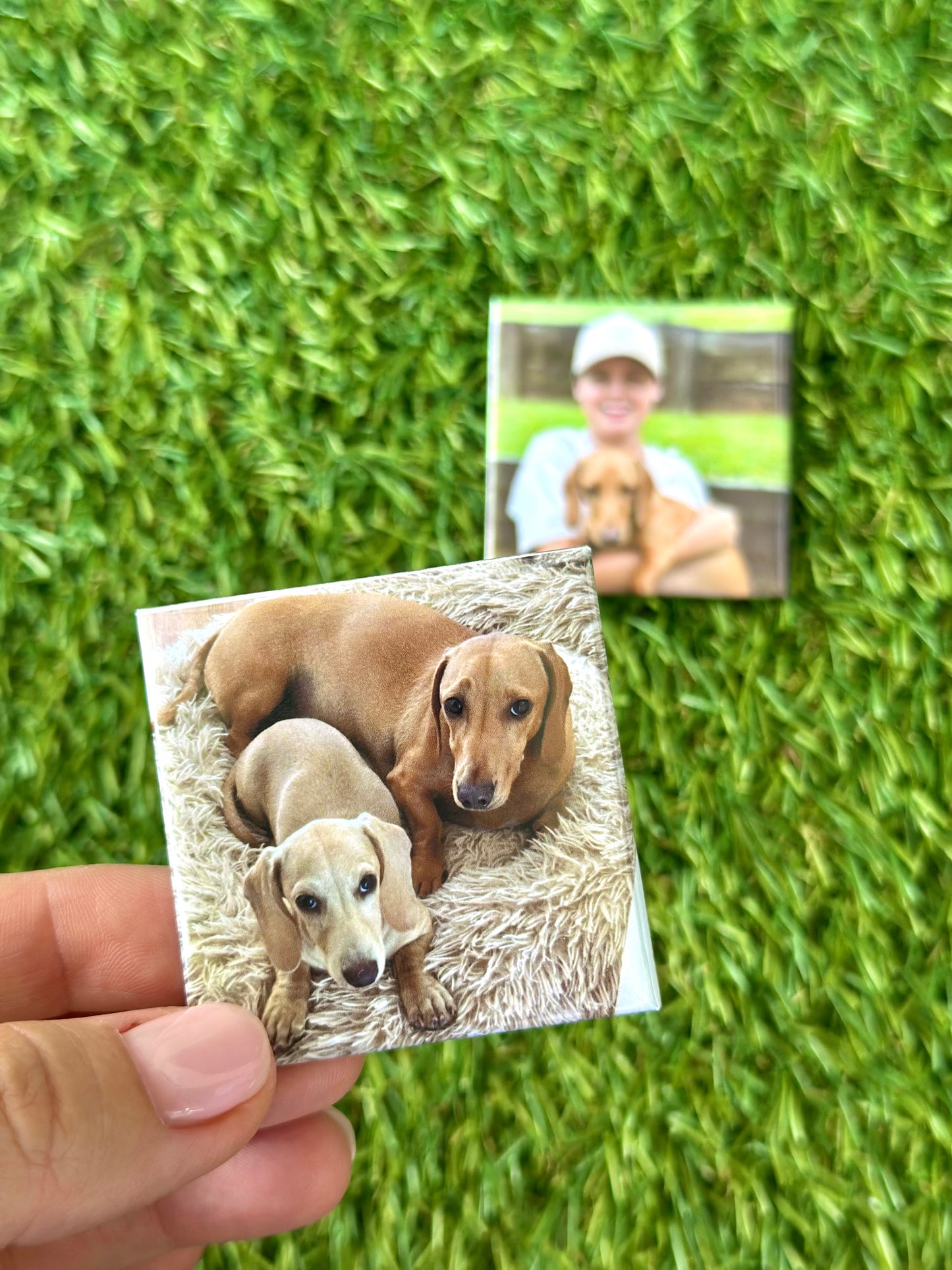 Photo Magnets - Single x 1